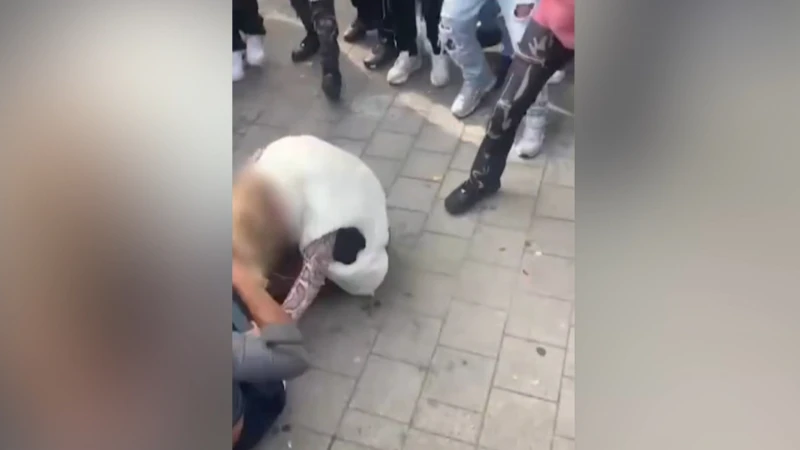 Tienermeisje afgeranseld aan station Neerpelt