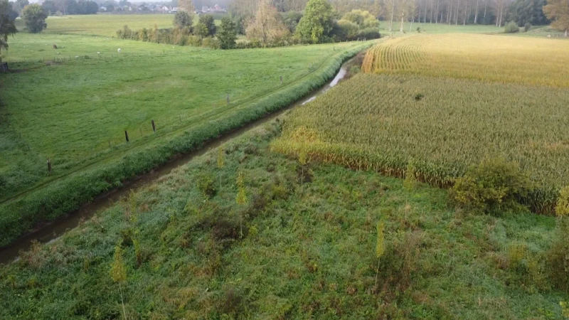 Rivier Kleine Herk vervuild tussen Wellen en Alken, oorzaak nog onbekend