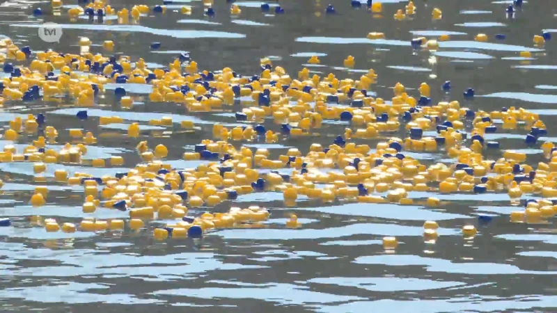 Hasseltse kanaalkom overspoeld door duizenden badeendjes tijdens Duck Race