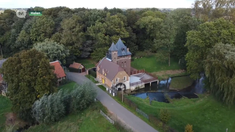 17de eeuwse Rotemse molen in Halen staat te koop