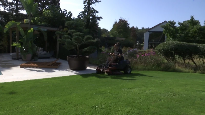 Nazomer verlengt volle orderboekjes tuinmannen