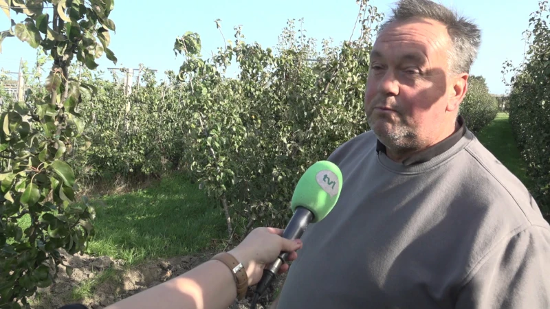 15 perenbomen gestolen uit Wellense plantage