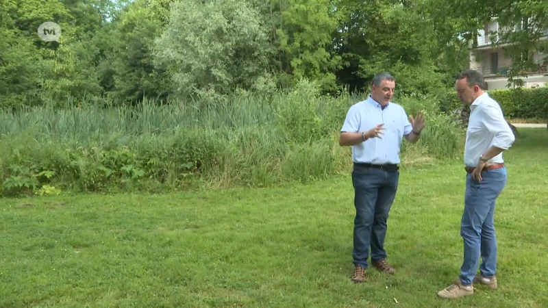 Burgemeester Raskin wil na fusie tussen Bilzen en Hoeselt schepen van Financiën worden
