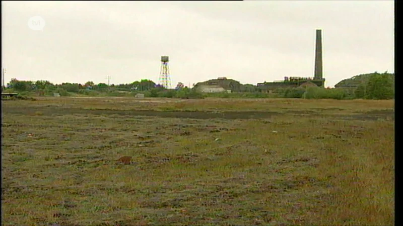 Meest vervuilde plek van Vlaanderen: site arseenfabiek Bocholt in 2024 gesaneerd.
