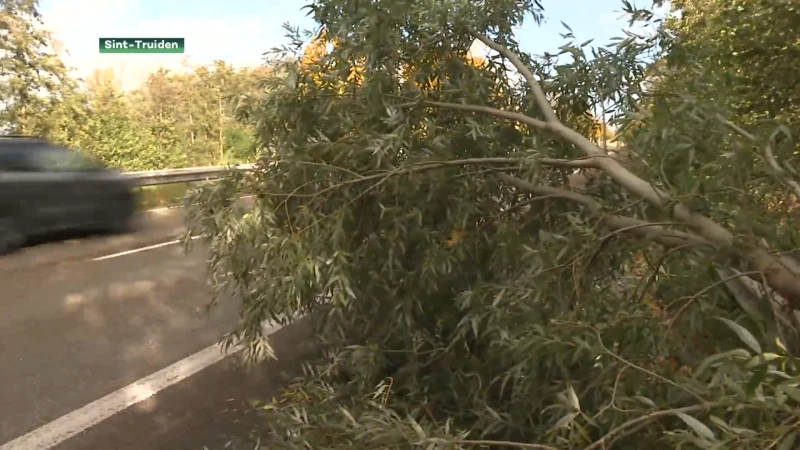 Stormweer: Vurige Vijvers afgelast, parken gesloten