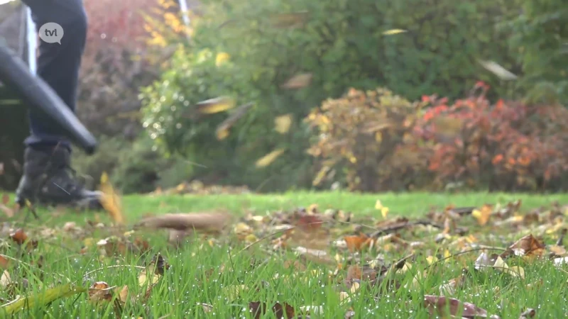 Wat doe je met je herfstbladeren?