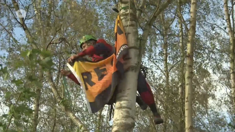 Activisten ketenen zich vast aan machines en bomen als protest tegen bomenkap in Tessenderlo