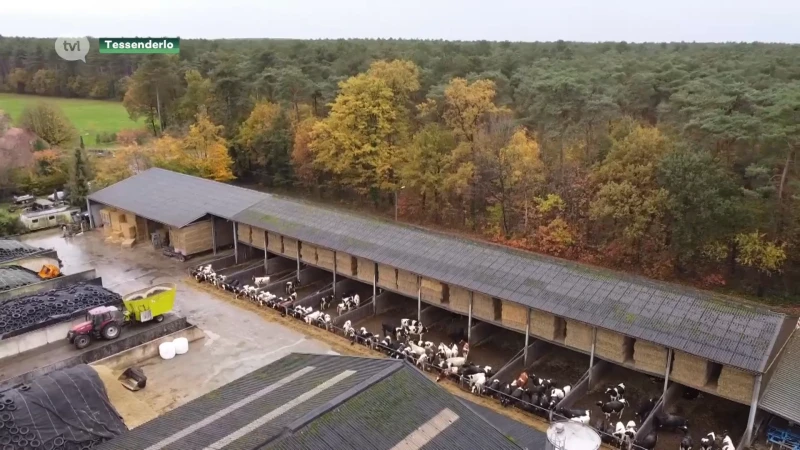 Rode boerderij in Tessenderlo optimistisch over toekomst