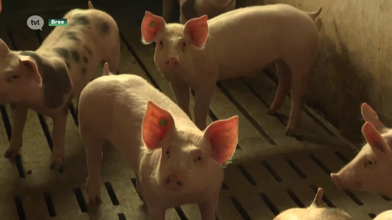 Nieuwe partij Boer Burger Belangen (BBB) bijzonder kritisch voor stikstofakkoord