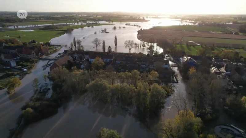 Natte herfstperiode doet vraag naar groendaken stijgen