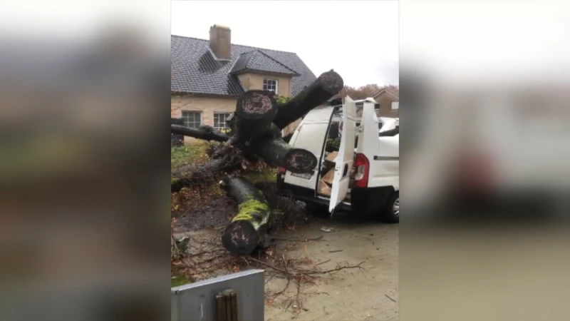 Boom valt op bestelwagen in Ham