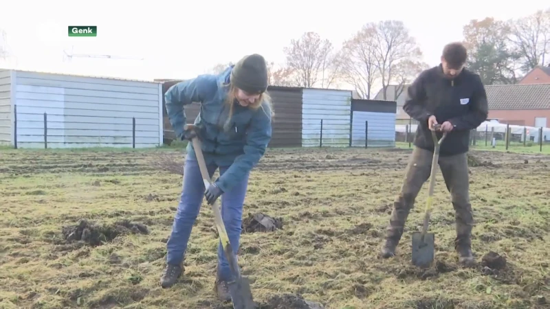 Genks bedrijf plant klimaatbos