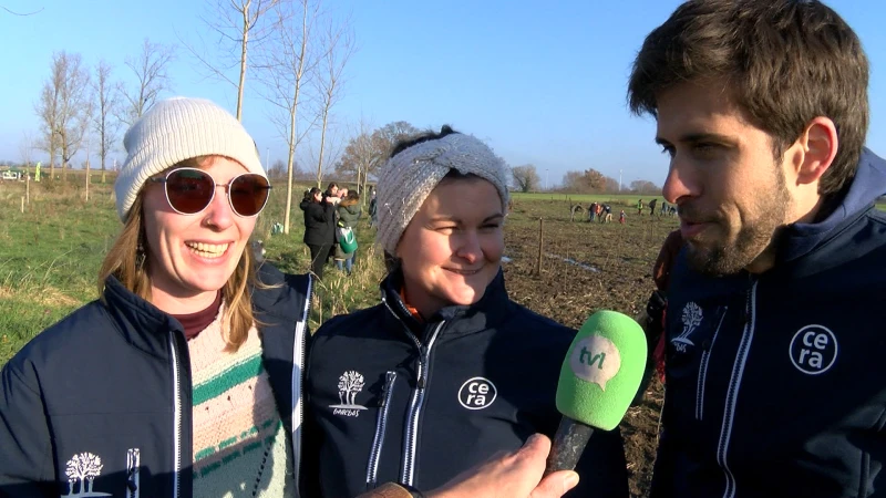 Bollebos vzw plant bomen in Hoeselt