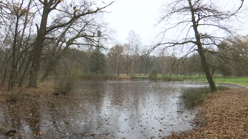 Eerste sneeuw in Limburg lokt wandelaars naar buiten