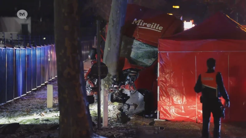 Bestuurder bestelwagen komt om bij klap tegen boom in Lummen