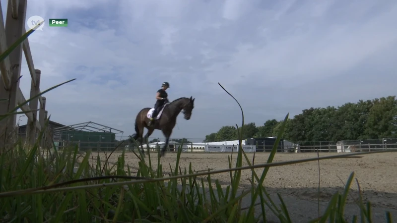 Stadsbestuur Peer stopt concessieovereenkomst met manege na dierenmishandeling