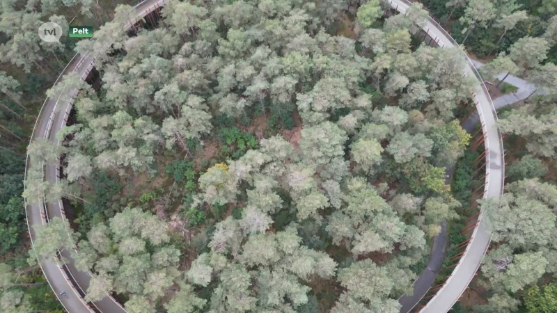 Nieuwe onthaalzone en toegangspoort in Pelt voor Bosland