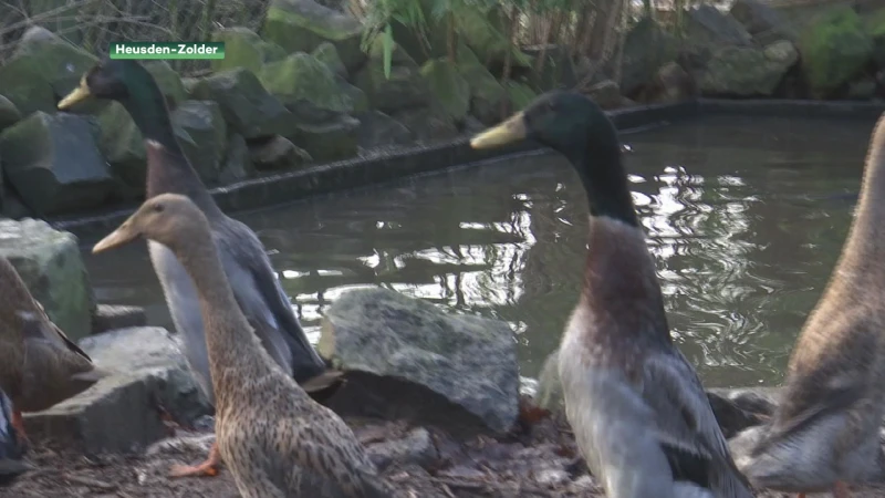 Vogel-en Zoogdierenopvangcentrum vangt 83 verwaarloosde dieren op