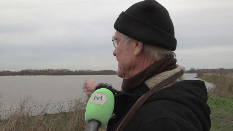 Nederlandse autoriteiten gaan poging ondernemen om rund te bevrijden na opmerkelijke beelden van TV Limburg
