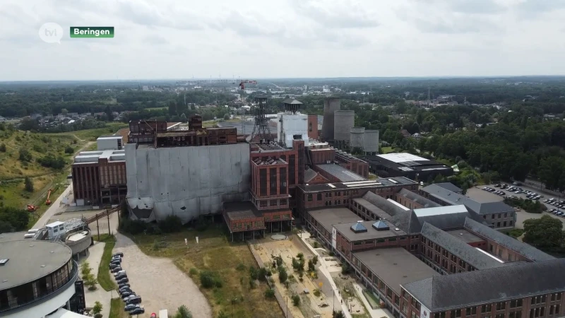 Vooruit en Groen trekken in kartel naar de kiezer in Beringen