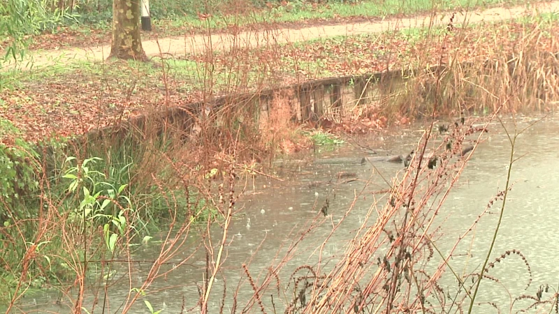 Eindejaar wordt winderig en regenachtig