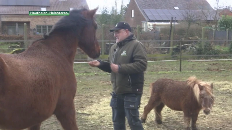 Paardenhouder maakt stal vuurwerkvrij