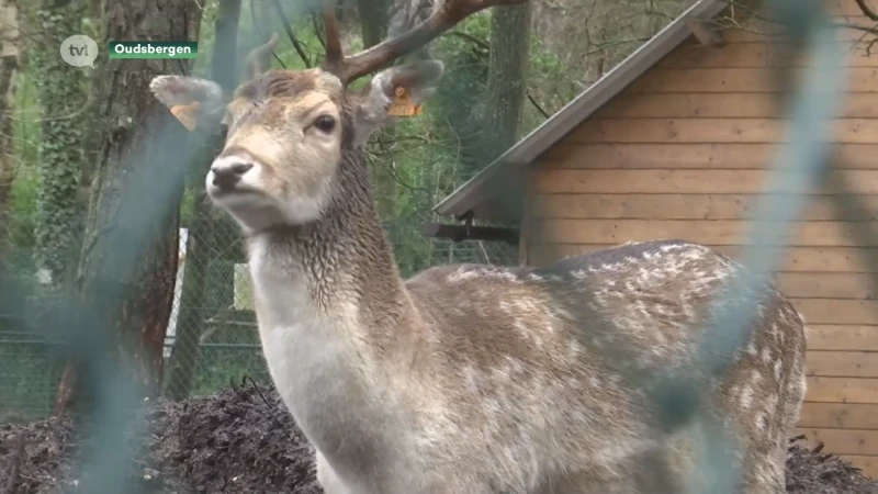 Relatief rustige overgang naar het nieuwe jaar in het Natuurhulpcentrum