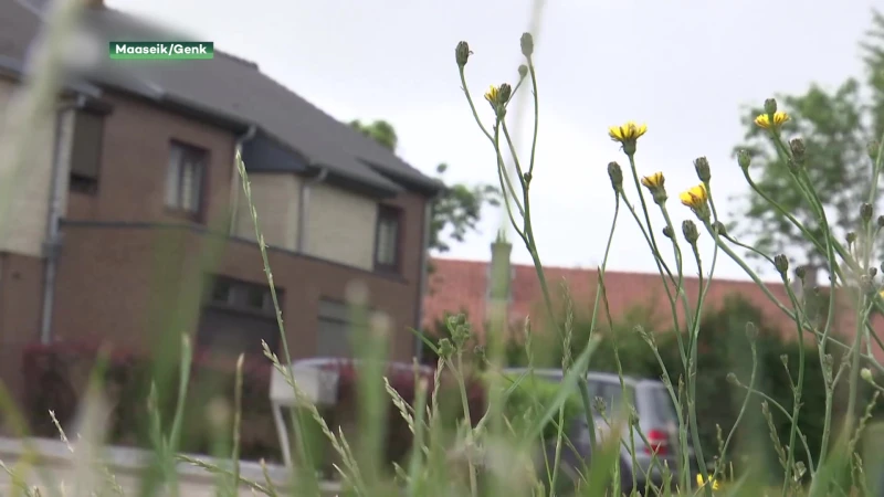 Tongerse raadkamer verwijst 8 ontvoerders jonge Genkenaar door naar assisen