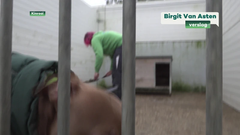 Dierenasiel Kinrooi dringend op zoek naar jassen voor grote honden