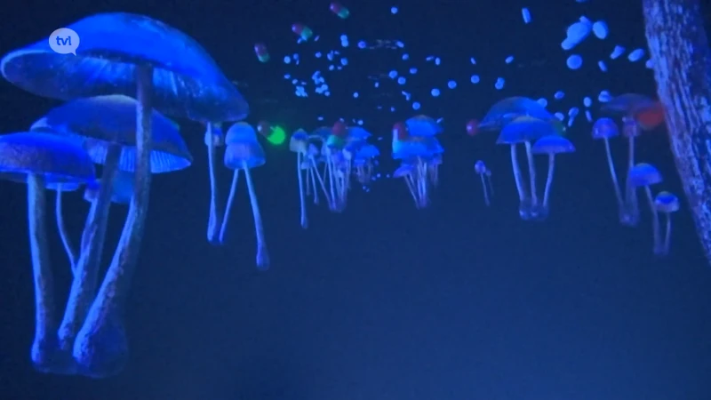 Muze Jazz Orchestra palmt Cosmodrome in met 360° domeprojectie