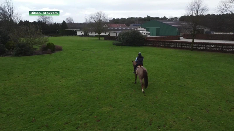 Dilsenaar Jan Boyen won 13 internationale wedstrijden in paardensport op één been