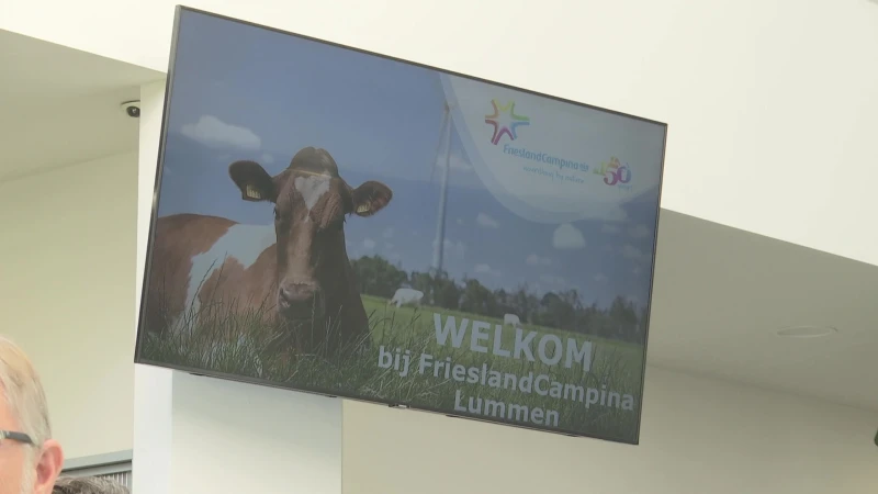 Actie bij Lummens Friesland Campina