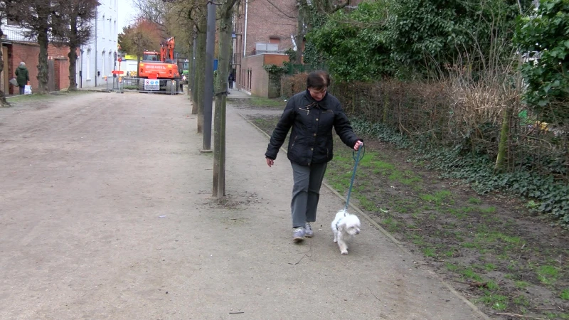 Groot draagvlak bij Truienaren voor kliklijn tegen hondenpoep