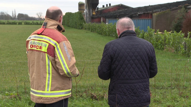 300 varkens komen om bij stalbrand in Bocholt