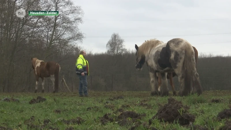Vogel- en zoogdierenopvangcentrum in Heusden-Zolder vangt 100 dieren op 1 dag op