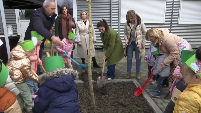 Momentum Daltonschool vergroent speelplaats