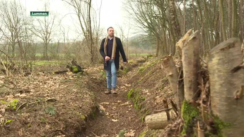 Lummen opent loopgravenwandeling aan domein Duizendjarige Eik