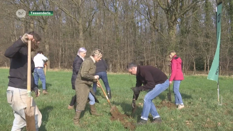 Natte grond blijkt probleem bij boomplantactie Tessenderlo
