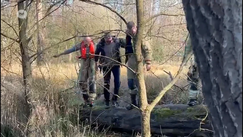 Vrouw zoekt hond en moet bevrijd worden uit Lummens moeras