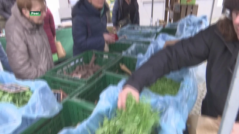 De Kweekpeermarkt in Peer vraagt aandacht voor de boer en de korte keten