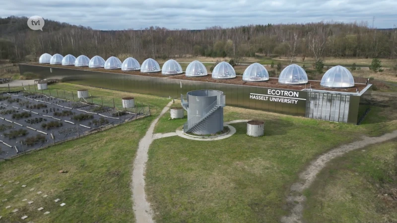 De Stad van de Toekomst: UHasselt onderzoekt impact klimaat op perenteelt