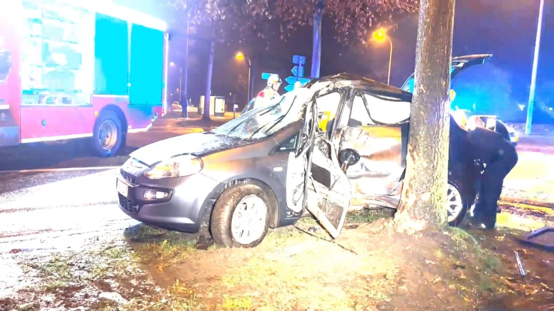 Bestuurder zwaargewond nadat auto tegen boom knalt in Genk