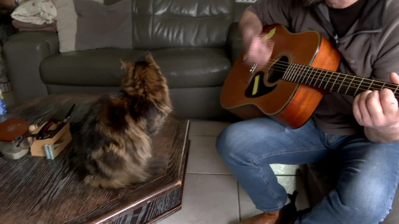 Bert zoekt eigenaar van gitaar die hij kocht op deurwaardersveiling