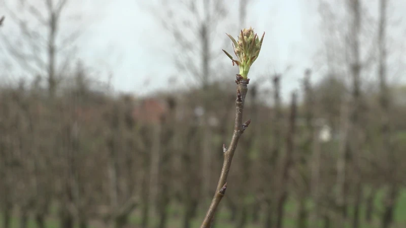 Hasselts beleidskader rond trage wegen botst op verzet