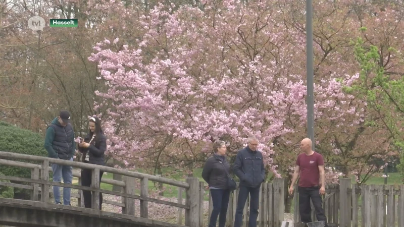 Japanse tuin opent vandaag de deuren