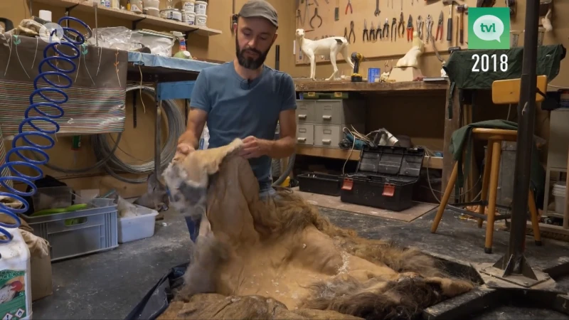 30 jaar TVL: Robbie Robben taxidermist