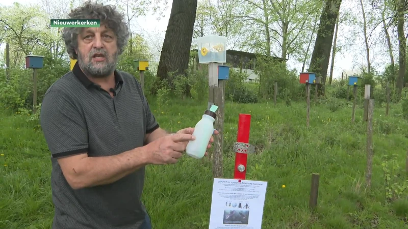 Nieuwerkerkse imkers willen dat iedereen Aziatische hoornaar vangt met lokpot