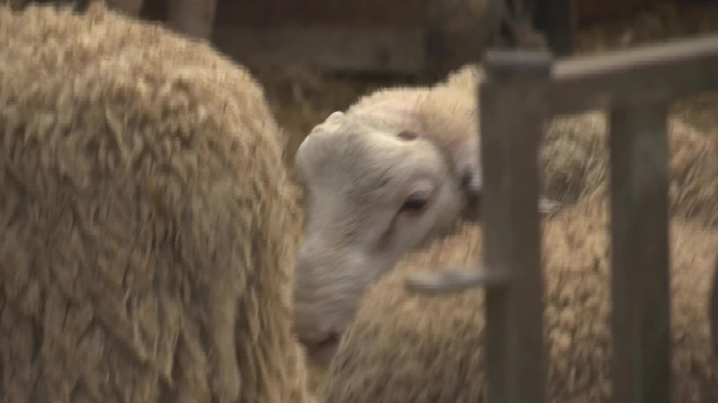 Jo Brouns wil vertrouwen boeren terugwinnen door pijnpunten aan te pakken op landbouwtop in Genk