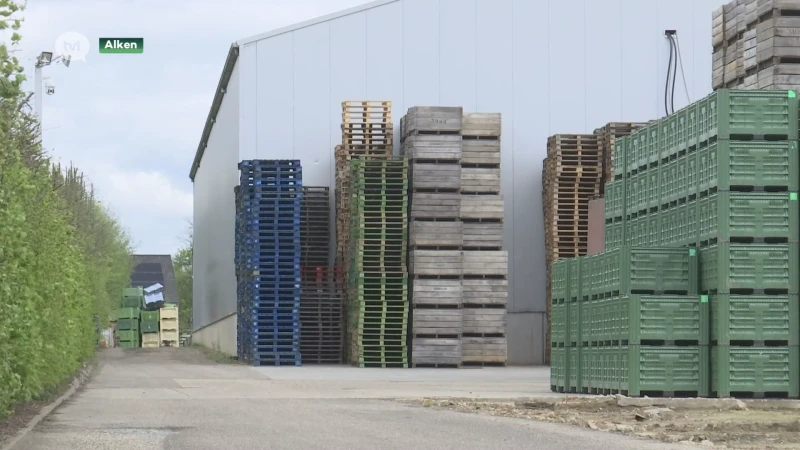 Assisen fruitplukkersmoord: doodslag of moord?