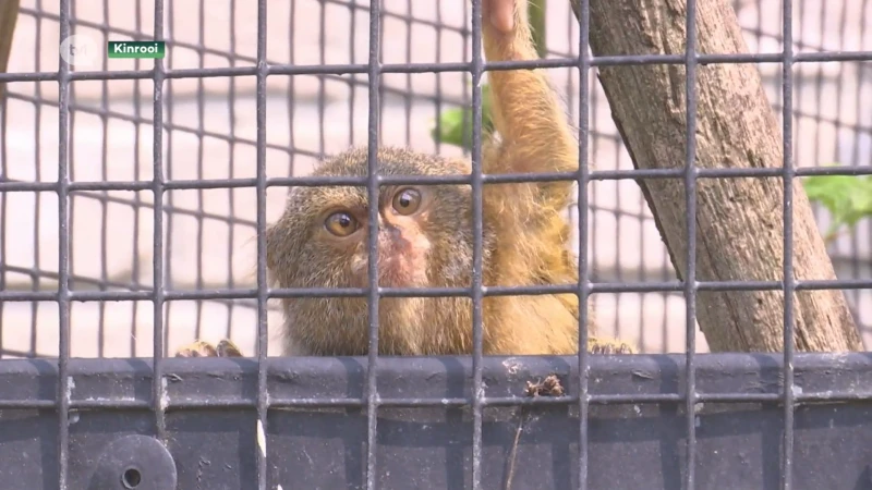 Nieuwe dierentuin opent de deuren in Kinrooi